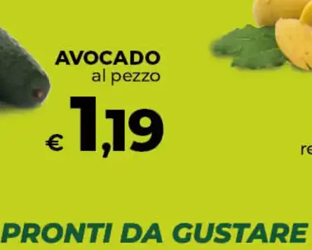 Avocado