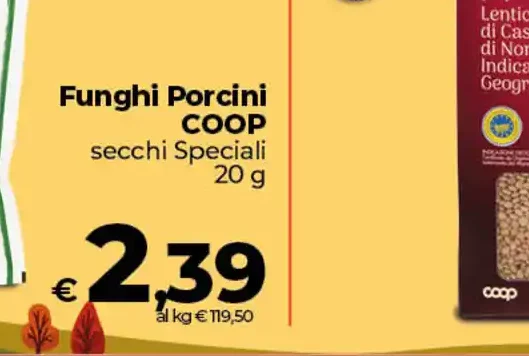 Funghi porcini Coop secchi Speciali