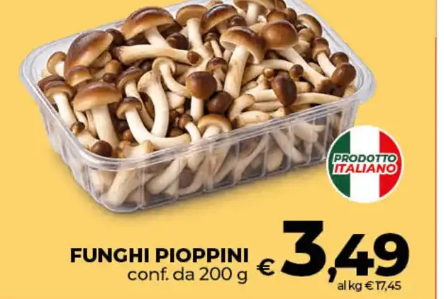 Funghi Pioppini