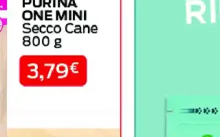 Purina One Mini secco cane