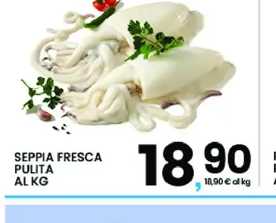 Seppia fresca pulita