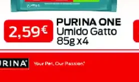 Umido per gatto