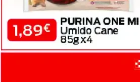 Umido per cane