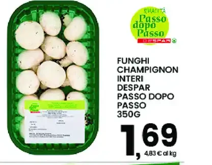 Funghi champignon