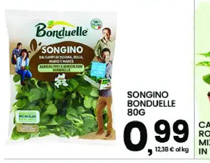 Songino