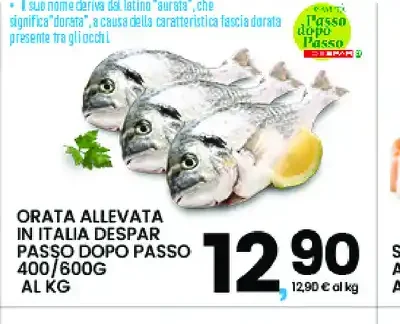 Orata allevata