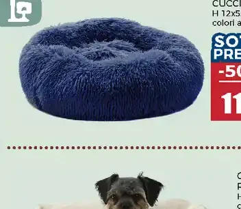 Cuccia ovale