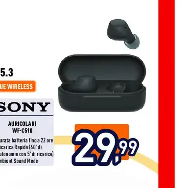 Auricolari true wireless