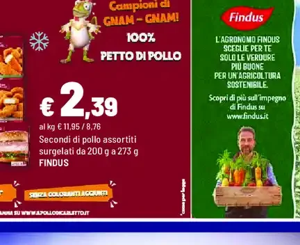 Secondi di pollo assortiti surgelati