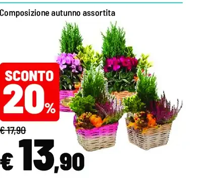 Composizione autunno assortita