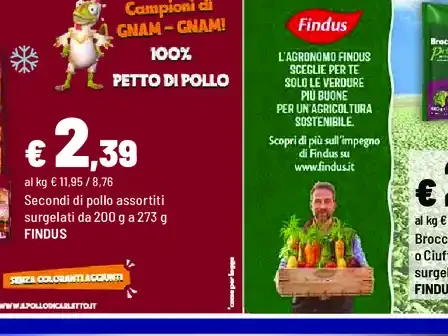 Secondi di pollo assortiti surgelati