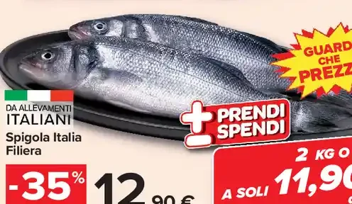 Spigola Italia filiera