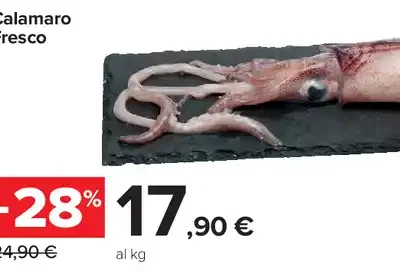 Calamaro fresco