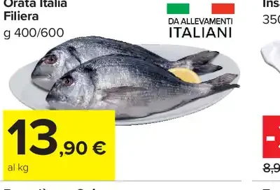 Orata Italia filiera
