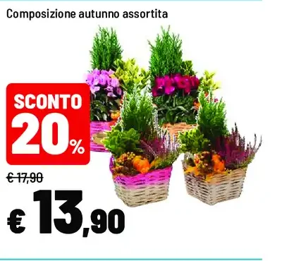 Composizione autunno assortita