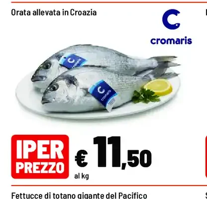 Orata allevata in Croazia