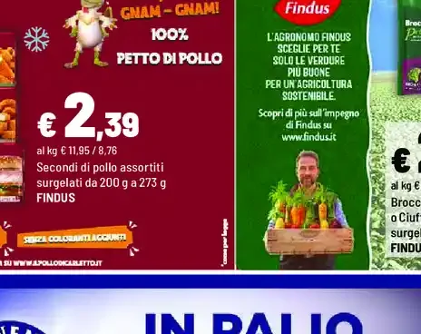 Secondi di pollo assortiti surgelati