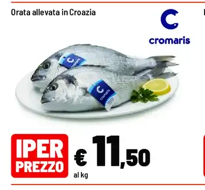 Orata allevata in Croazia