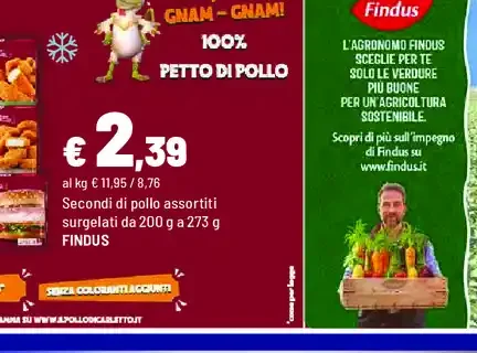 Secondi di pollo assortiti surgelati