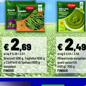 Broccoli, fagiolini o ciuffetti di spinaci surgelati