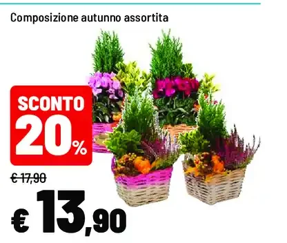 Composizione autunno assortita