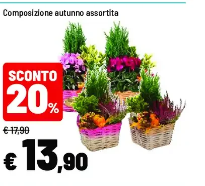 Composizione autunno assortita