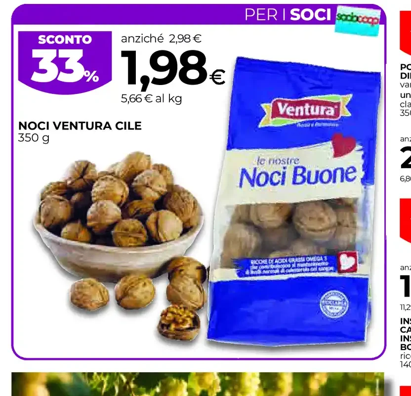 Noci Ventura Cile