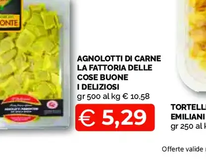 Agnolotti di carne La Fattoria delle Cose Buone e I Deliziosi