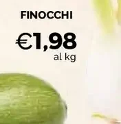 Finocchi