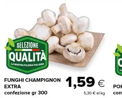 Funghi champignon extra