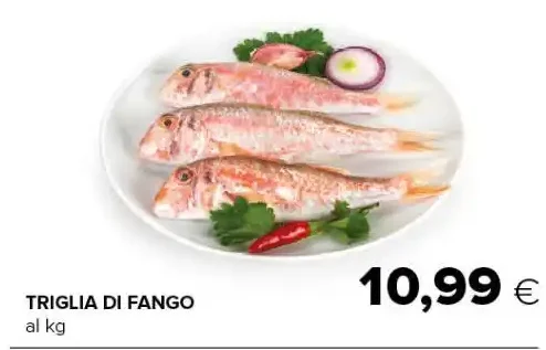 Triglia di fango