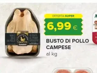 Busto di pollo campese