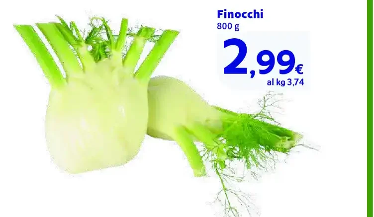 Finocchi