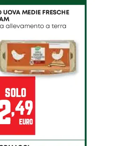 Uova medie fresche Pam