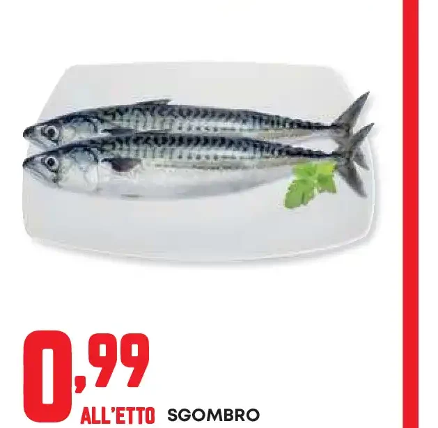 Sgombro