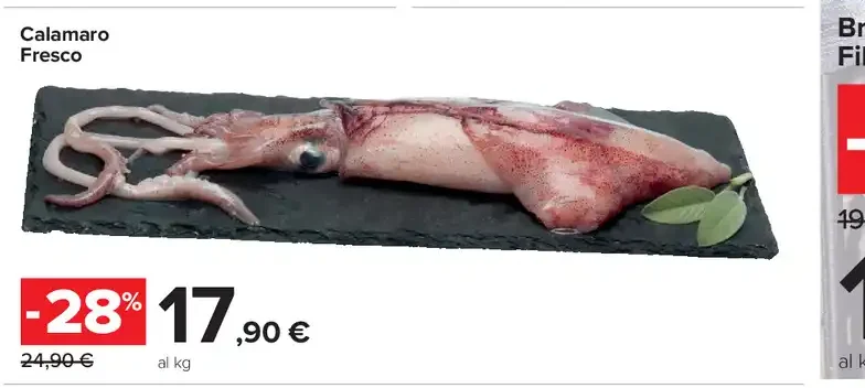 Calamaro fresco