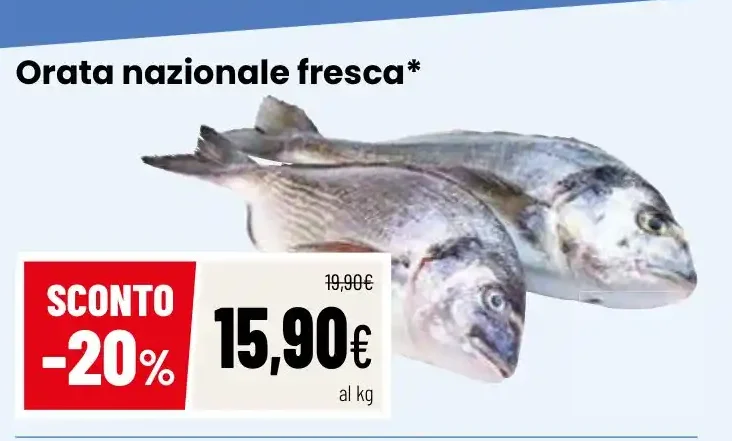 Orata nazionale fresca