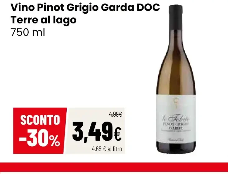 Vino Pinot Grigio Garda DOC Terre al lago