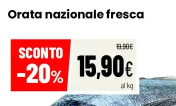 Orata nazionale fresca