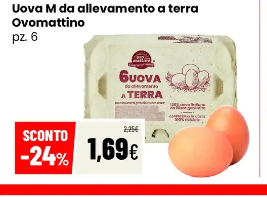 Uova M da allevamento a terra Ovomatino