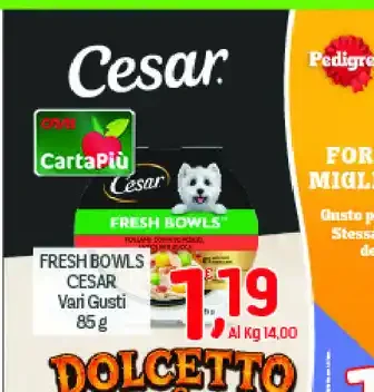 Fresh Bowls Cesar vari gusti