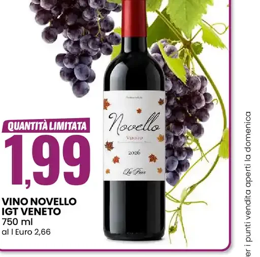 Vino novello IGT Veneto