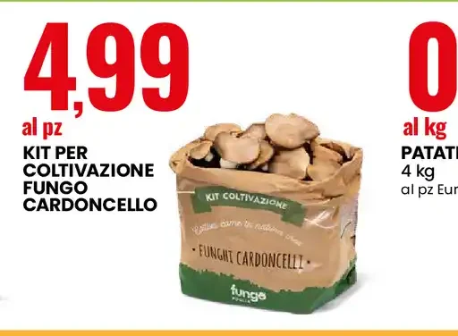 Kit per coltivazione fungo cardoncello