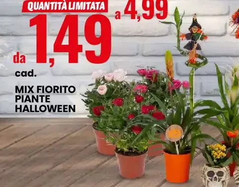 Mix fiorito piante Halloween