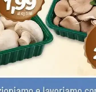 Funghi bianchi fiore