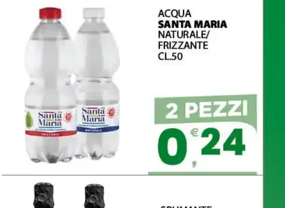 Acqua Santa Maria naturale/frizzante cl.50