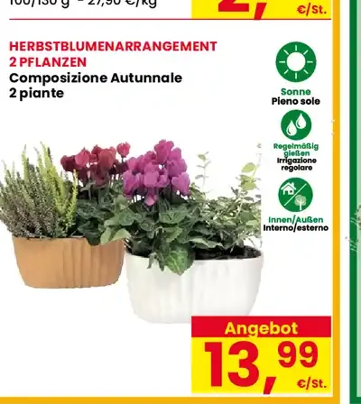 Composizione autunnale
