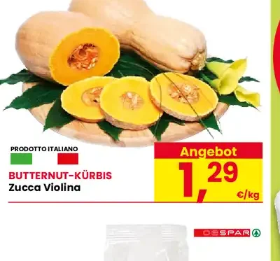 Zucca Violina