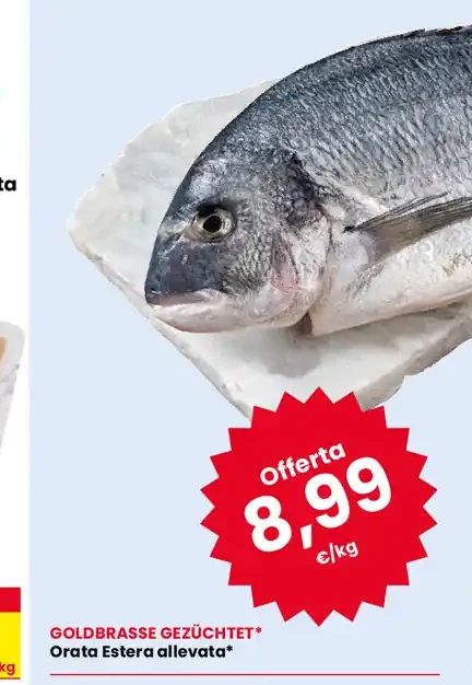 Orata
