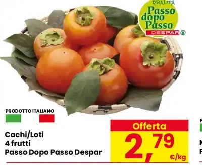 Cachi/Loti Passo Dopo Passo Despar